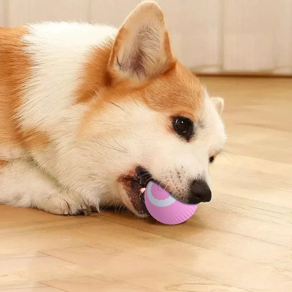 Usb Rechargeable Electric Cat Ball Toy for Interactive Play
