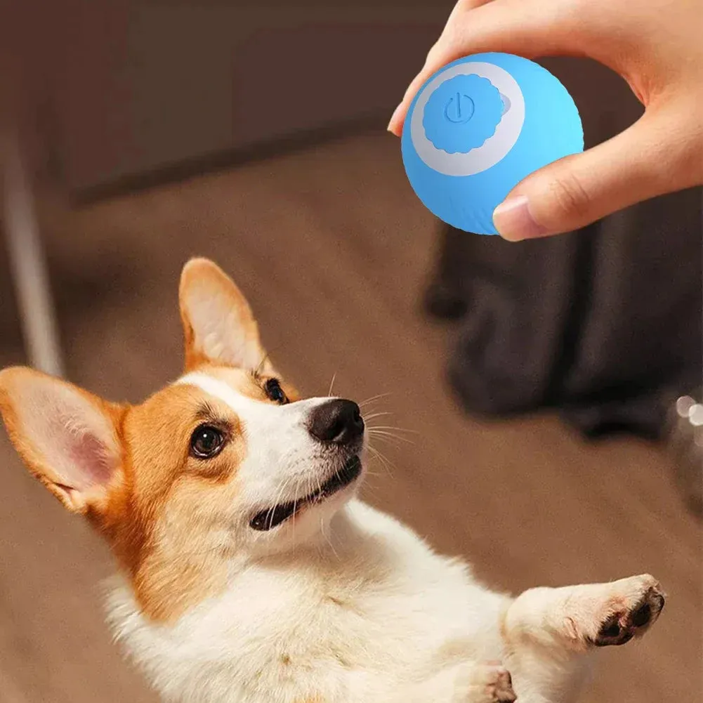 Usb Rechargeable Electric Cat Ball Toy for Interactive Play